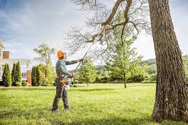 Professional Tree Removal in West Blocton, AL